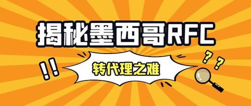揭秘 墨西哥RFC注冊代理服務中的陷阱與選擇策略