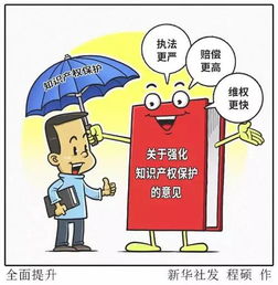 金華出臺知識產權新政，企業可享多項優惠政策與服務支持