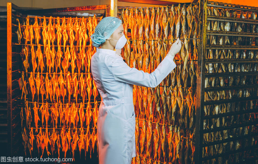 魚海鮮廠 現代化海產品加工的全產業鏈解析