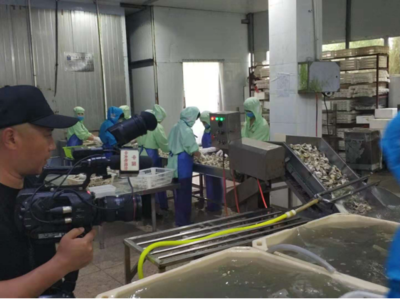 科技賦能，海味飄香——探訪廣東省水產(chǎn)創(chuàng)新試點(diǎn)專業(yè)鎮(zhèn)潮州饒平?jīng)G洲鎮(zhèn)